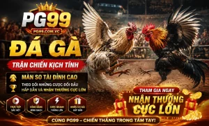 Đá Gà trực tiếp PG99 Đá Gà trực tiếp PG99