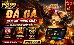 Đá Gà PG99 trận nổi bật Đá Gà PG99 trận nổi bật